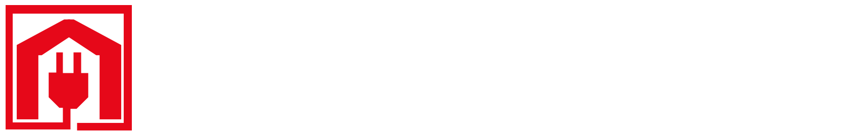 日本電工ロゴ